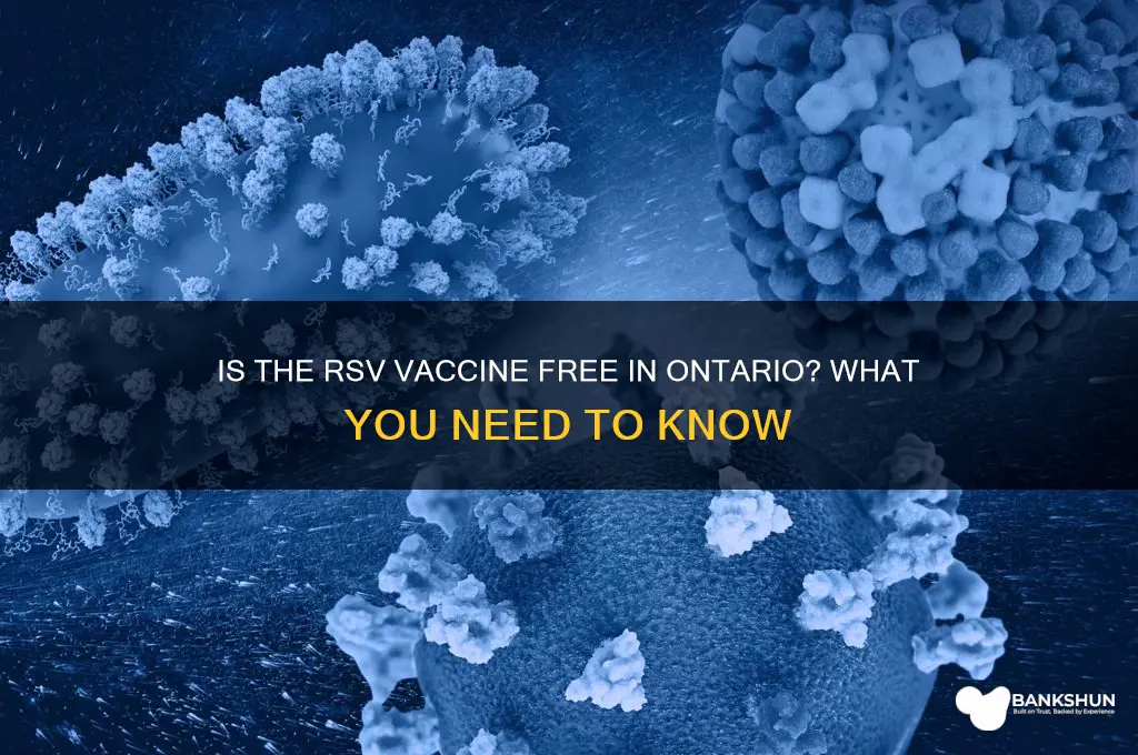 is the rsv vaccine free in ontario