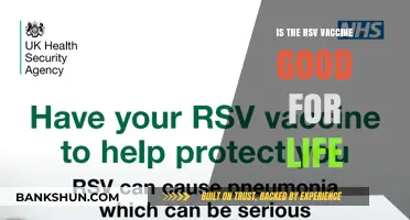 RSV Vaccine: Lifelong Protection or Periodic Booster Needed?
