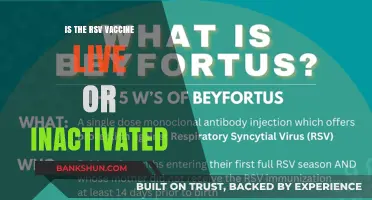 RSV Vaccine: Live or Inactivated? Understanding the Key Differences