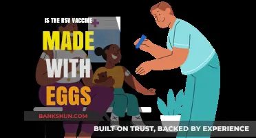 RSV Vaccine and Eggs: Understanding Its Ingredients and Production