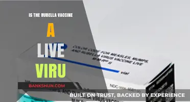 Is the Rubella Vaccine a Live Virus? Facts and Safety Explained