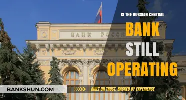 Is Russia's Central Bank Still Functioning Amid Global Sanctions?