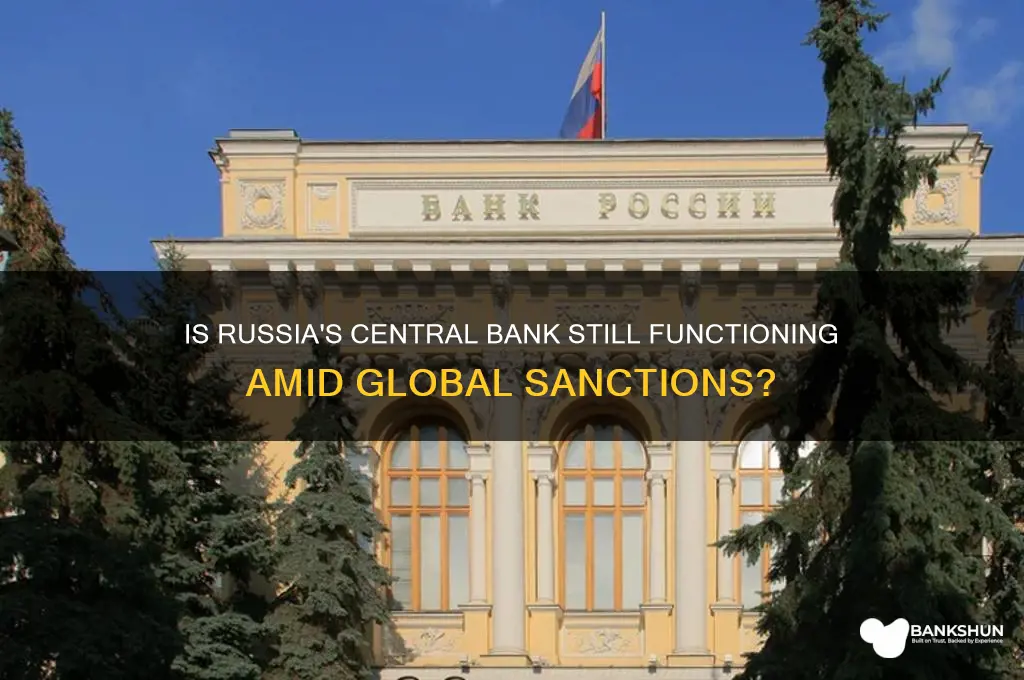 is the russian central bank still operating