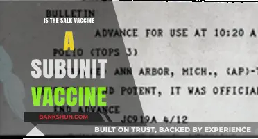 Understanding the Salk Vaccine: Is It a Subunit Vaccine?