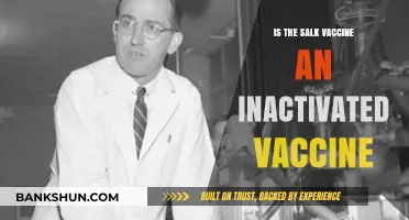 Understanding the Salk Vaccine: Is It an Inactivated Vaccine?