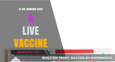 Is Shingrix a Live Vaccine? Understanding Its Composition and Safety