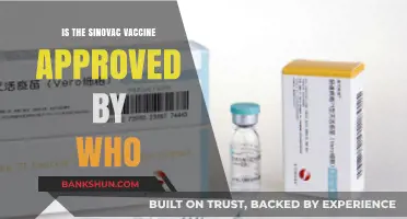 Is Sinovac's COVID-19 Vaccine WHO-Approved? Latest Updates Explained