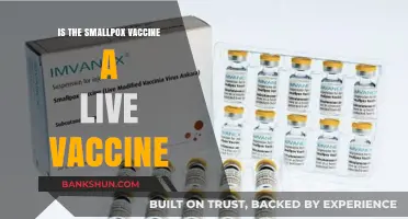 Is the Smallpox Vaccine Live? Understanding Its Composition and Safety