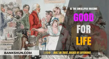 Does the Smallpox Vaccine Provide Lifelong Immunity? What We Know