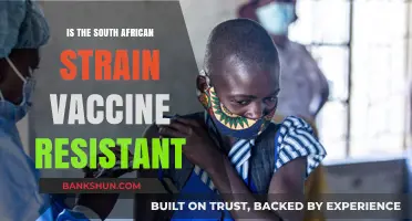 South African COVID-19 Strain: Vaccine Resistance Concerns Explained