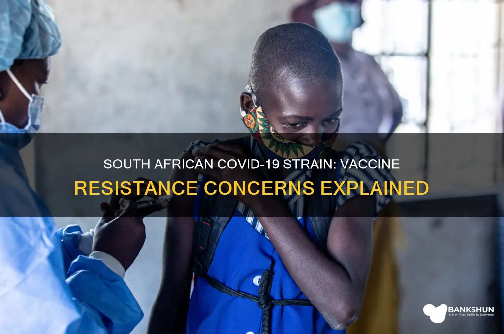 is the south african strain vaccine resistant