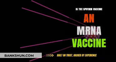 Sputnik Vaccine: Understanding Its Technology Compared to mRNA Vaccines
