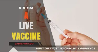 Is the TB Shot a Live Vaccine? Facts and Insights