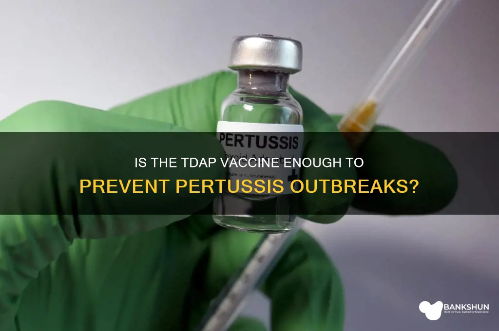 is the td vaccine sufficient for pertussis
