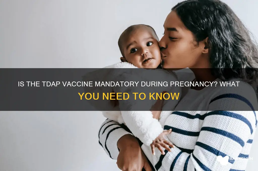 is the tdap vaccine mandatory during pregnancy