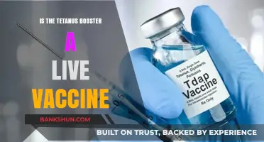 Tetanus Booster: Live Vaccine or Not? Unraveling the Facts