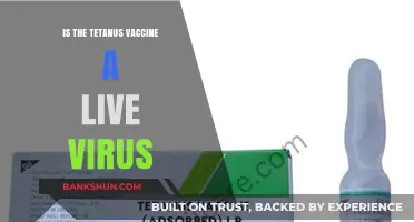 Is the Tetanus Vaccine a Live Virus? Facts and Clarifications