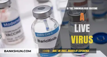 Is the Tuberculosis Vaccine a Live Virus? Facts Explained