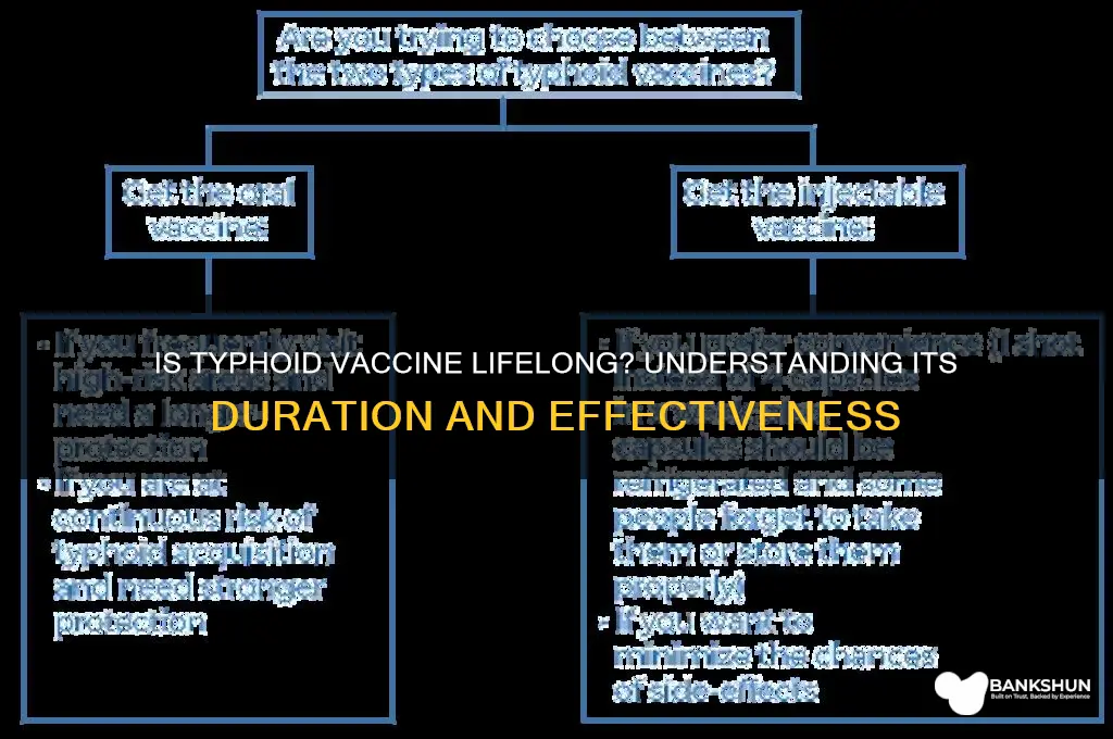 is the typhoid vaccine good for life