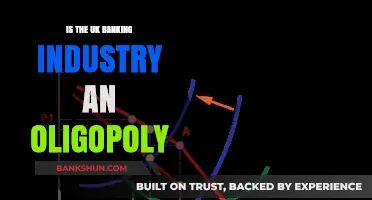 Is the UK Banking Sector an Oligopoly? Exploring Market Dominance