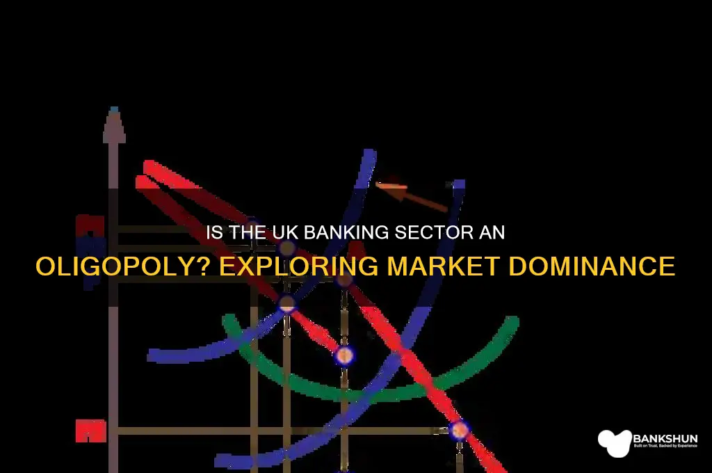 is the uk banking industry an oligopoly