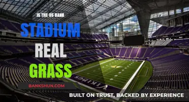 Is U.S. Bank Stadium's Field Real Grass or Artificial Turf?