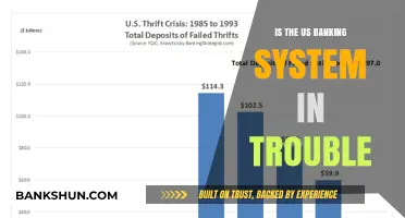 Is the US Banking System Facing a Looming Crisis?