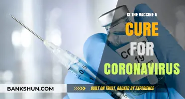 Vaccine vs. Coronavirus: Prevention, Not Cure, Explained