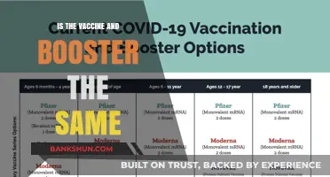 Vaccines vs. Boosters: Understanding the Key Differences and Similarities