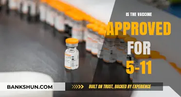 Vaccine Approval for Kids 5-11: What Parents Need to Know