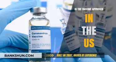 US Vaccine Approval: What You Need to Know About Its Status