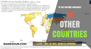 Global Vaccine Availability: Where and How to Access It Abroad