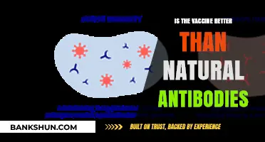 Vaccine vs. Natural Immunity: Which Offers Stronger Protection?