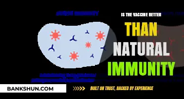 Vaccine vs. Natural Immunity: Which Offers Stronger, Lasting Protection?