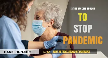 Vaccines Alone: Can They Truly End the Pandemic Crisis?