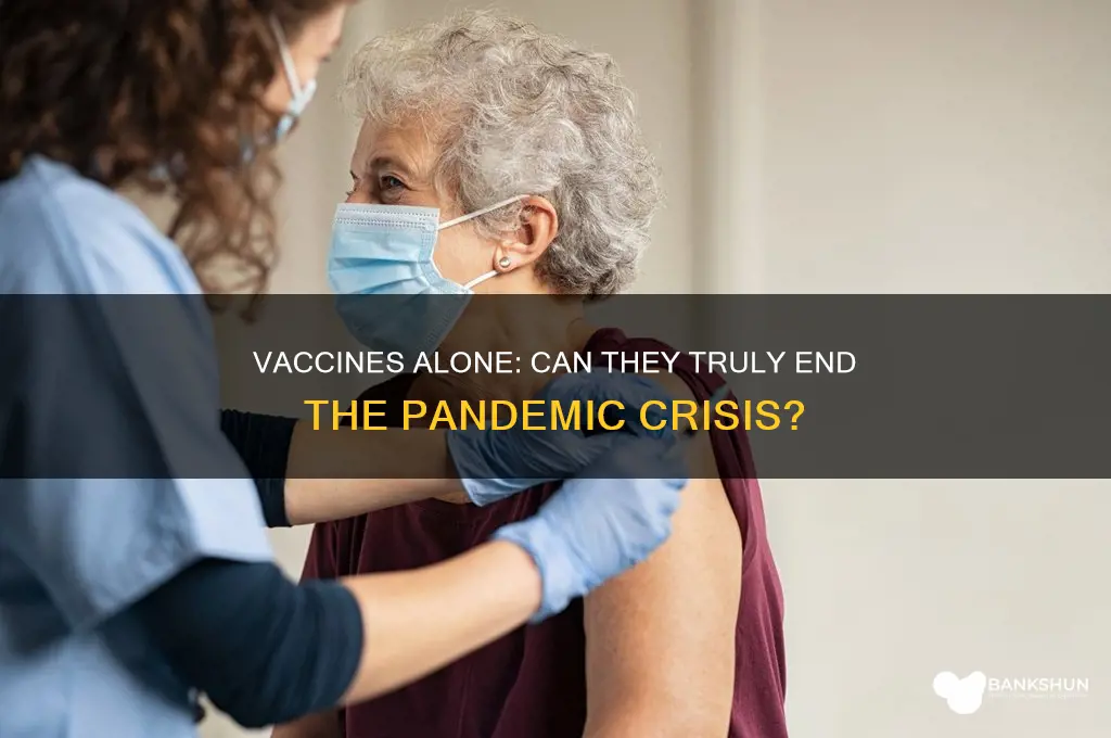 is the vaccine enough to stop pandemic