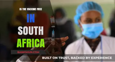 Is the COVID-19 Vaccine Free in South Africa? Facts Explained