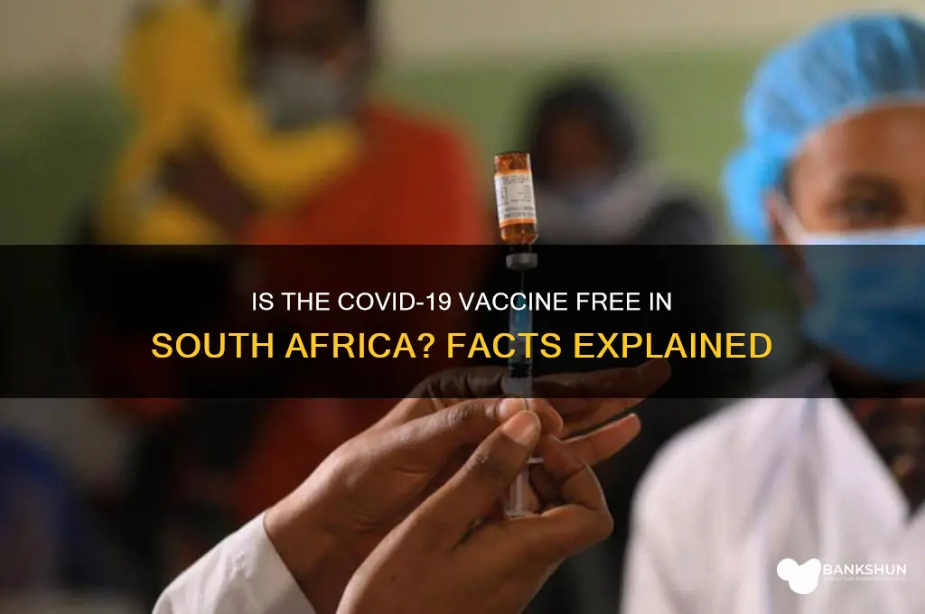 is the vaccine free in south africa