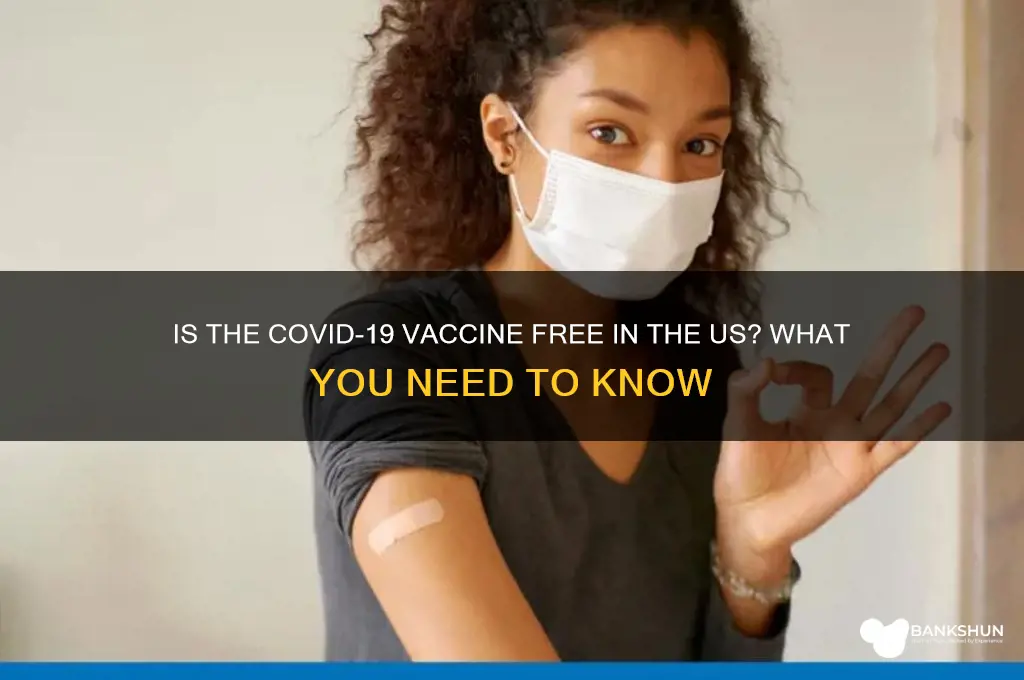 is the vaccine free in the us