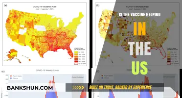 Is the Vaccine Curbing COVID-19 in the United States?
