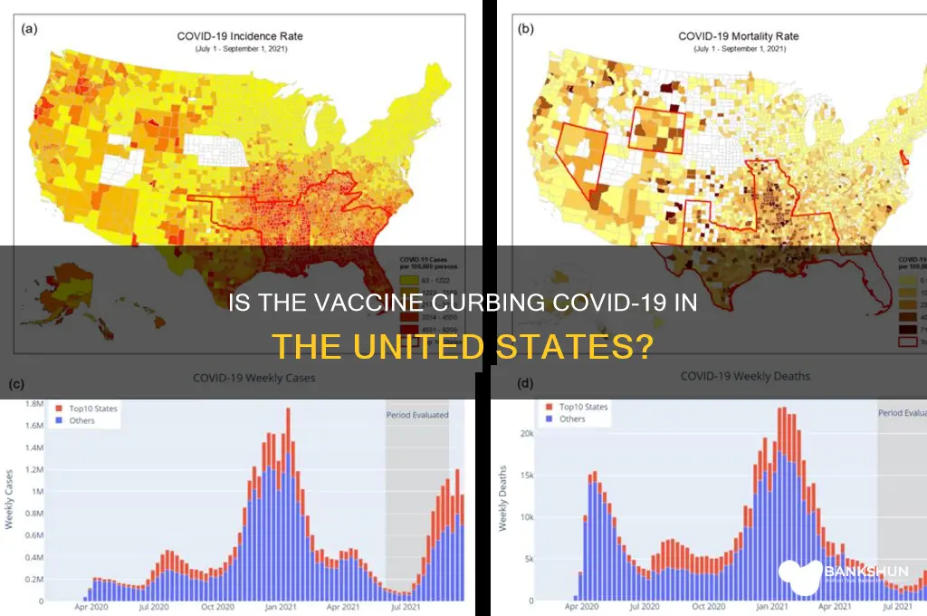 is the vaccine helping in the us