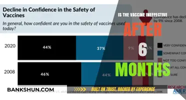 Does Vaccine Efficacy Decline After Six Months? What Research Shows