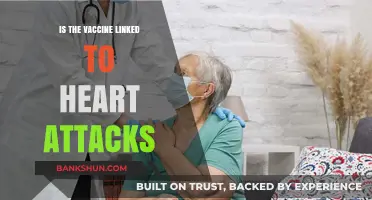 Vaccine Safety: Investigating Potential Links to Heart Attacks