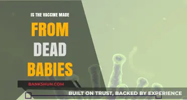 Debunking Myths: The Truth About Vaccines and Fetal Cells