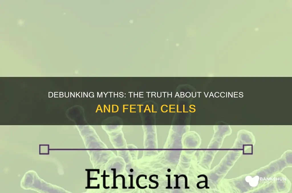 is the vaccine made from dead babies