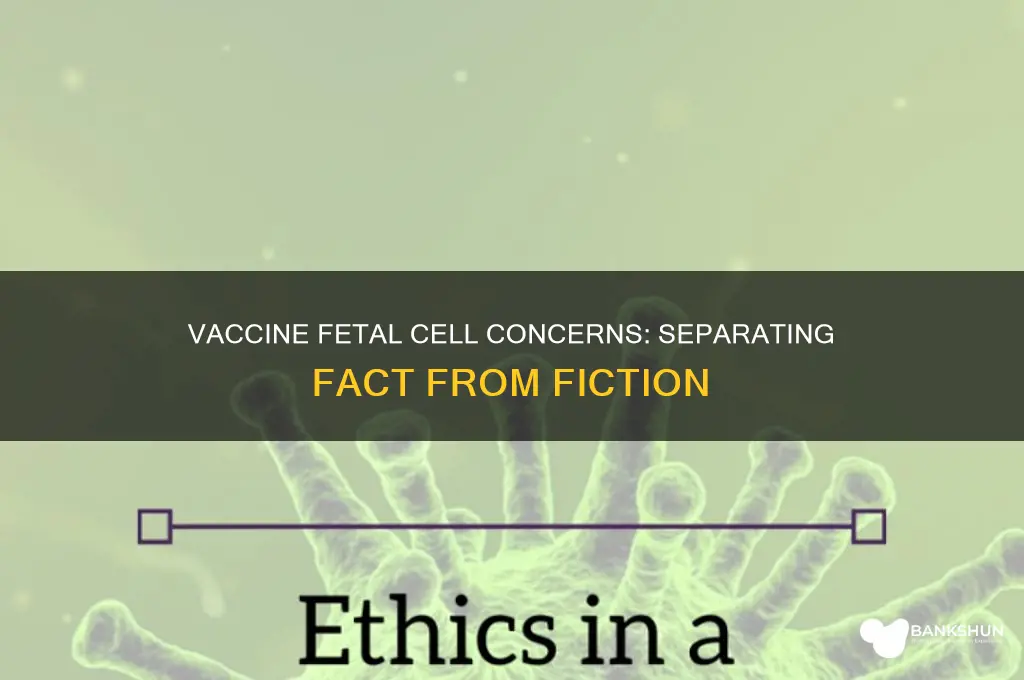 is the vaccine made from fetal cells