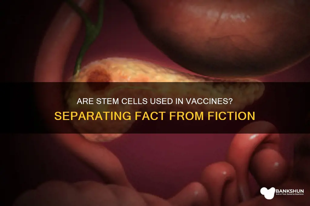 is the vaccine made from stem cells