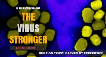 Vaccines and Viral Evolution: Are They Strengthening the Virus?