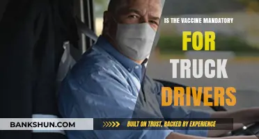 Are Vaccines Mandatory for Truck Drivers? Legal Insights and Updates