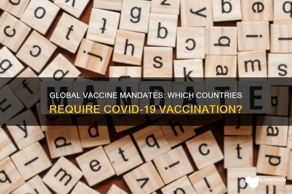 is the vaccine mandatory in any country